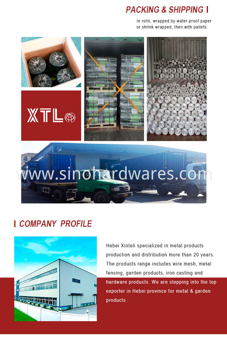 Hexagonal Wire Mesh